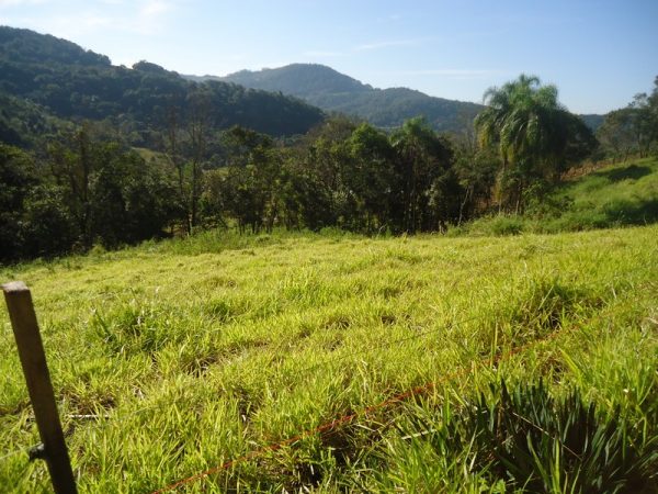 Área de Terra