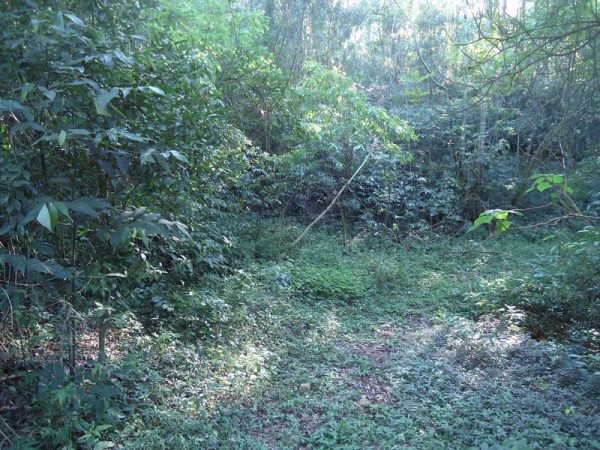 Área de Terra