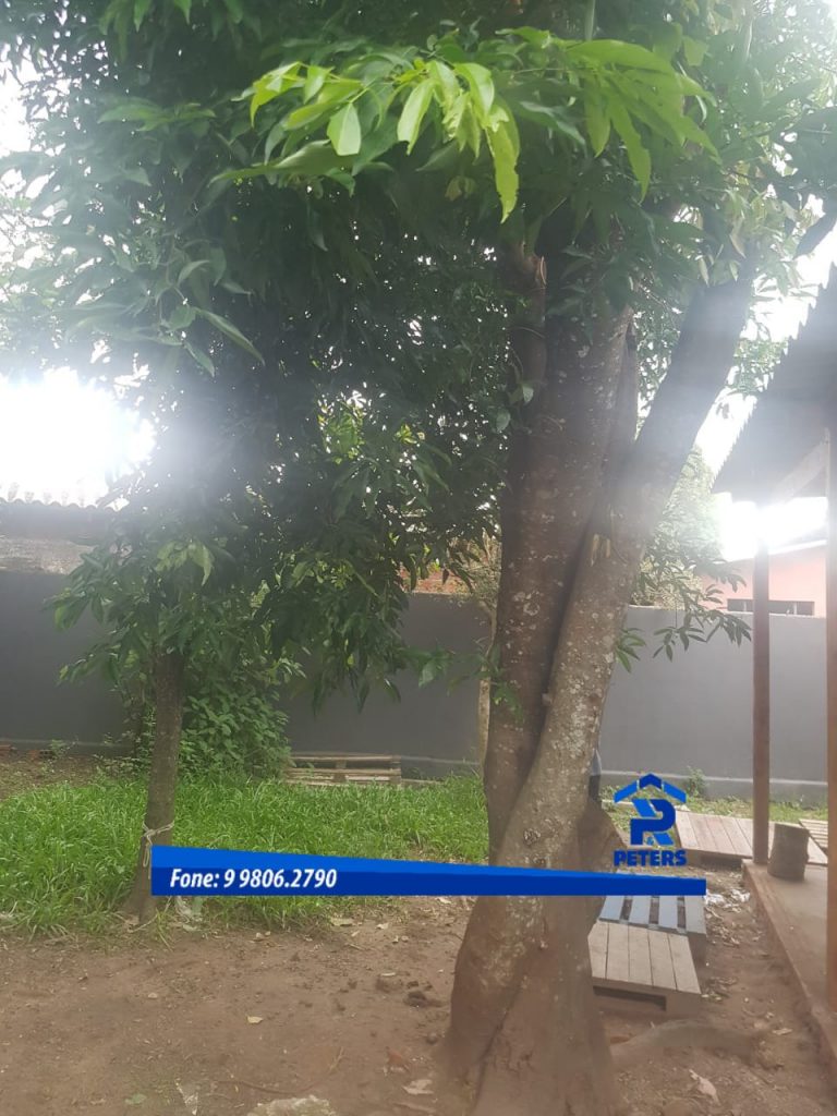 Casa Alvenaria em Ramiz Galvão