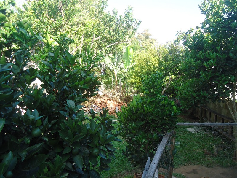 Casa no bairro Ramiz Galvão