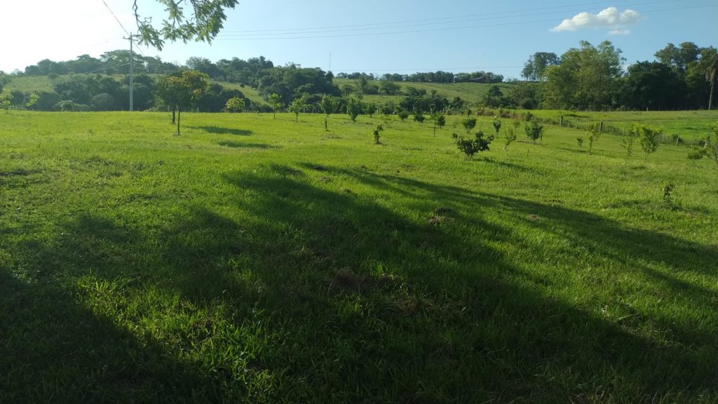 Chácara na Aldeia São Nicolau